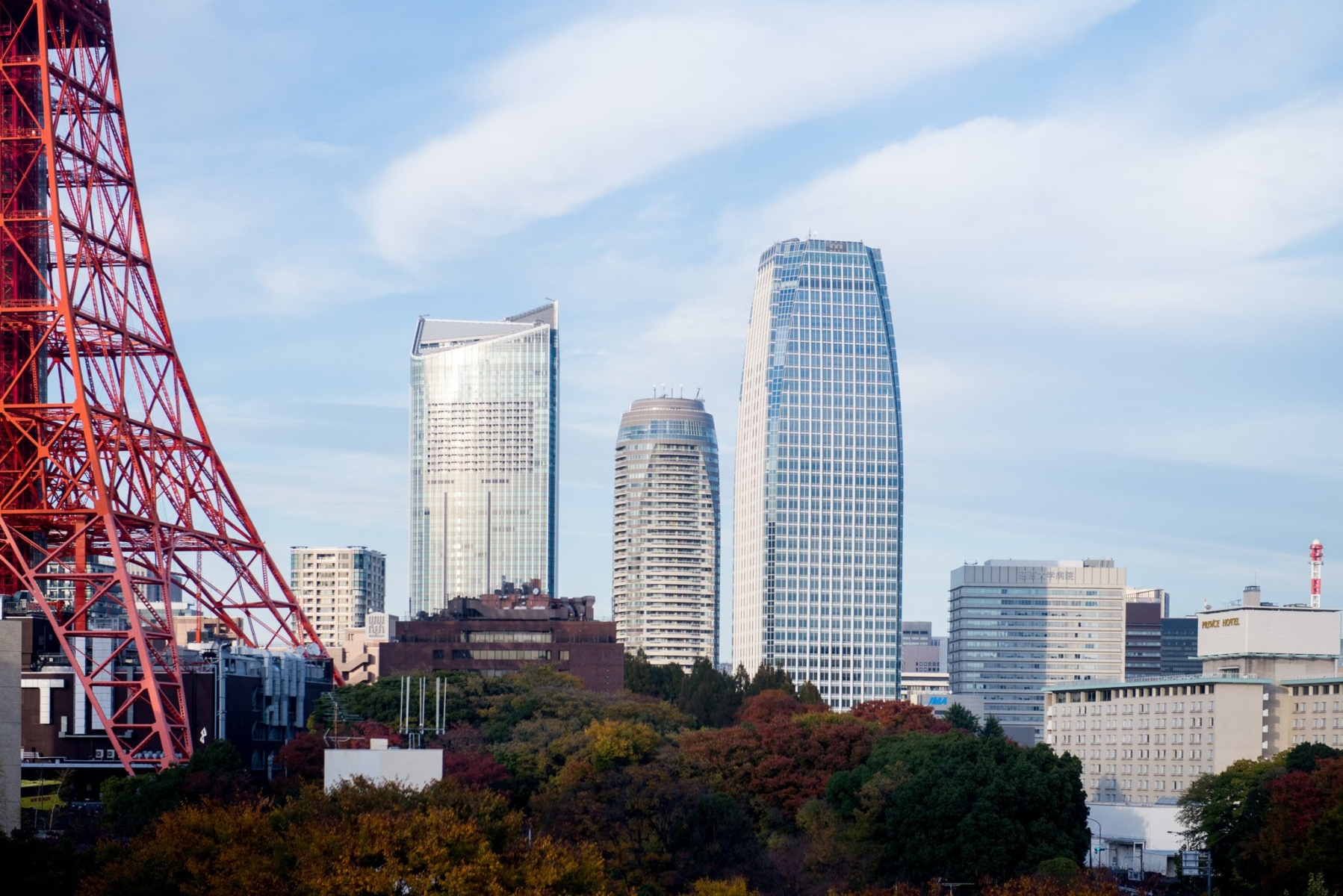 Tokyo Tower and Shibakoen